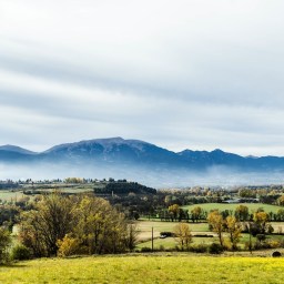 The Lover Who Longs to Hear Your Voice First Thing in the Morning