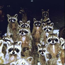 A Terrifying Pandemic Is Prophesied To Strike All The Nations